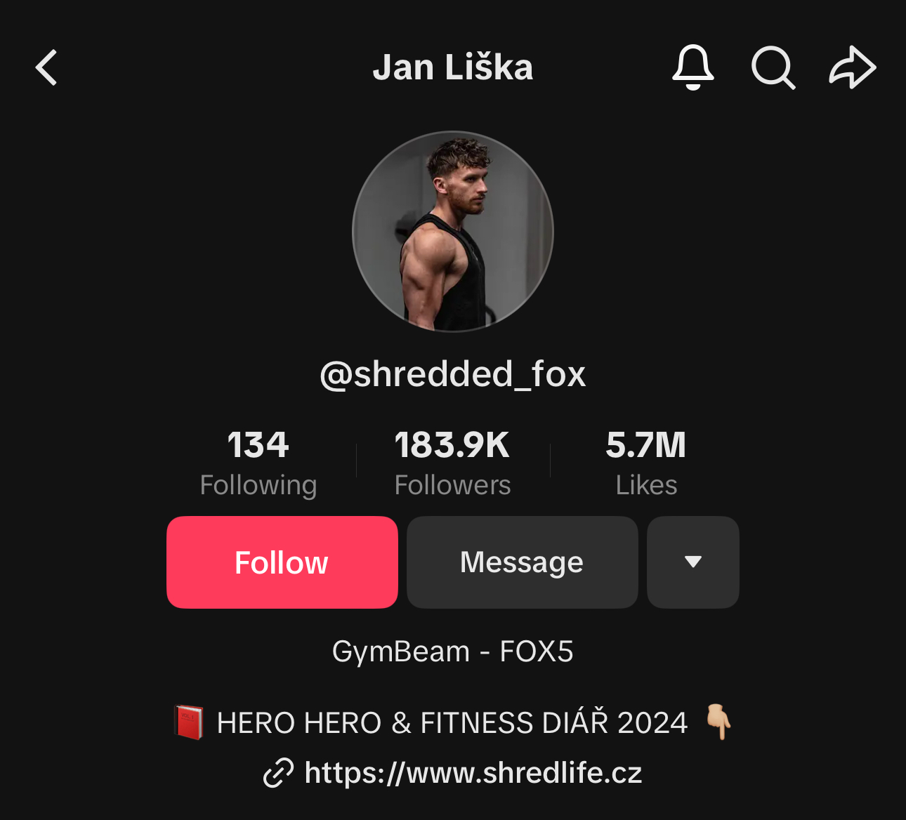 Lišák_now